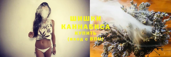 прущие грибы Киреевск