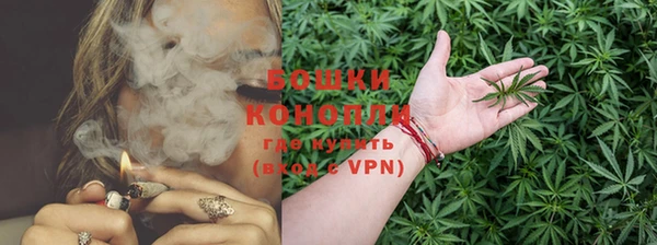 PSILOCYBIN Касимов